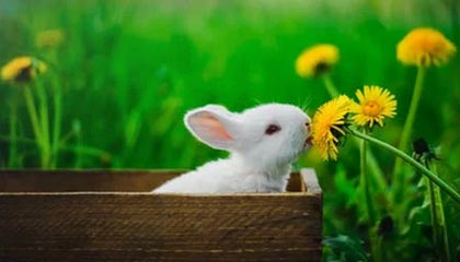 九游官方游戏-中国女篮出征世界杯 全队斗志昂扬，中国女篮世界大赛