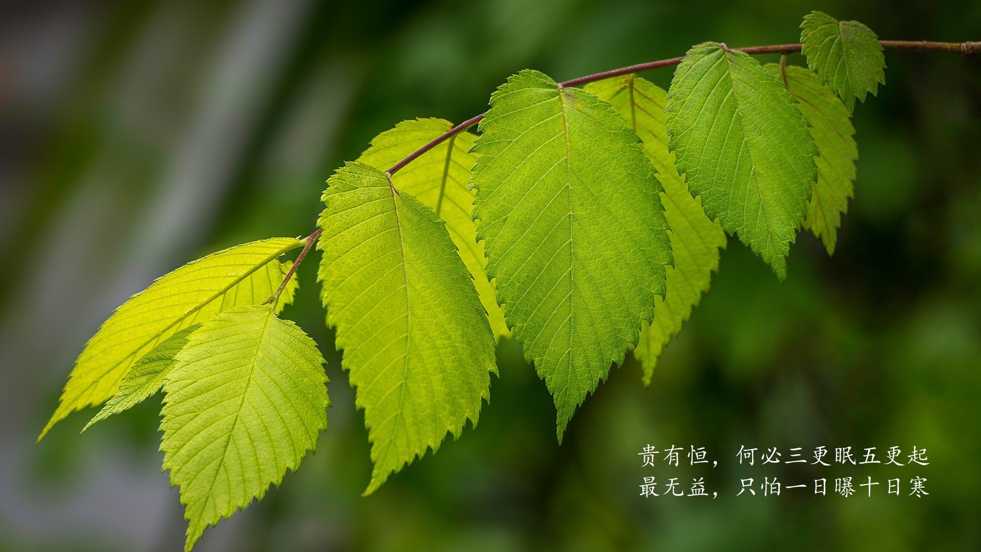 九游网页版官网-巴黎圣日耳曼前锋射门准确，成为得分利器，巴黎圣日耳曼队史射手榜