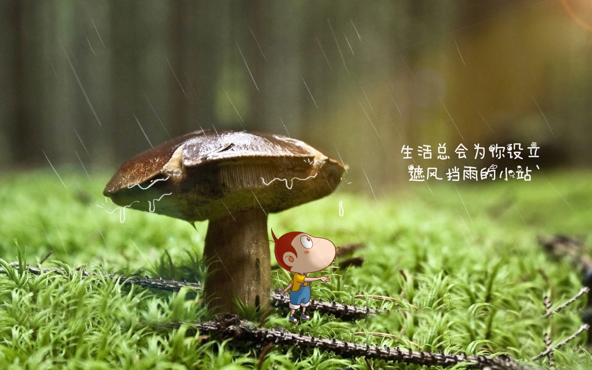 JIUYOU.COM-陕西男篮在比赛中逆转胜利，掀起高潮，陕西男篮吧