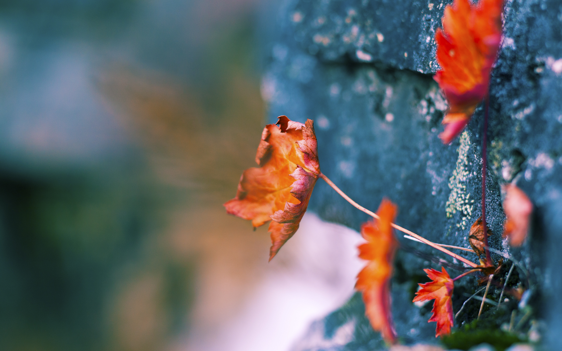 NBA球队战术创新案例，nba篮球战术