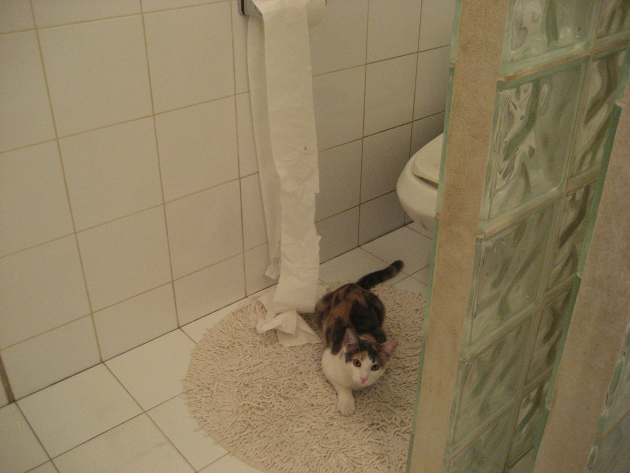 世界半程马拉松锦标赛非洲选手包揽前五，2020年世界半程马拉松锦标赛在哪个国家