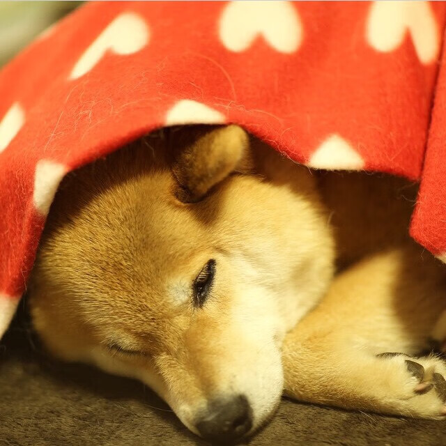 中国足球不同阵型下前锋触球位置热图，足球中前锋的位置和打法