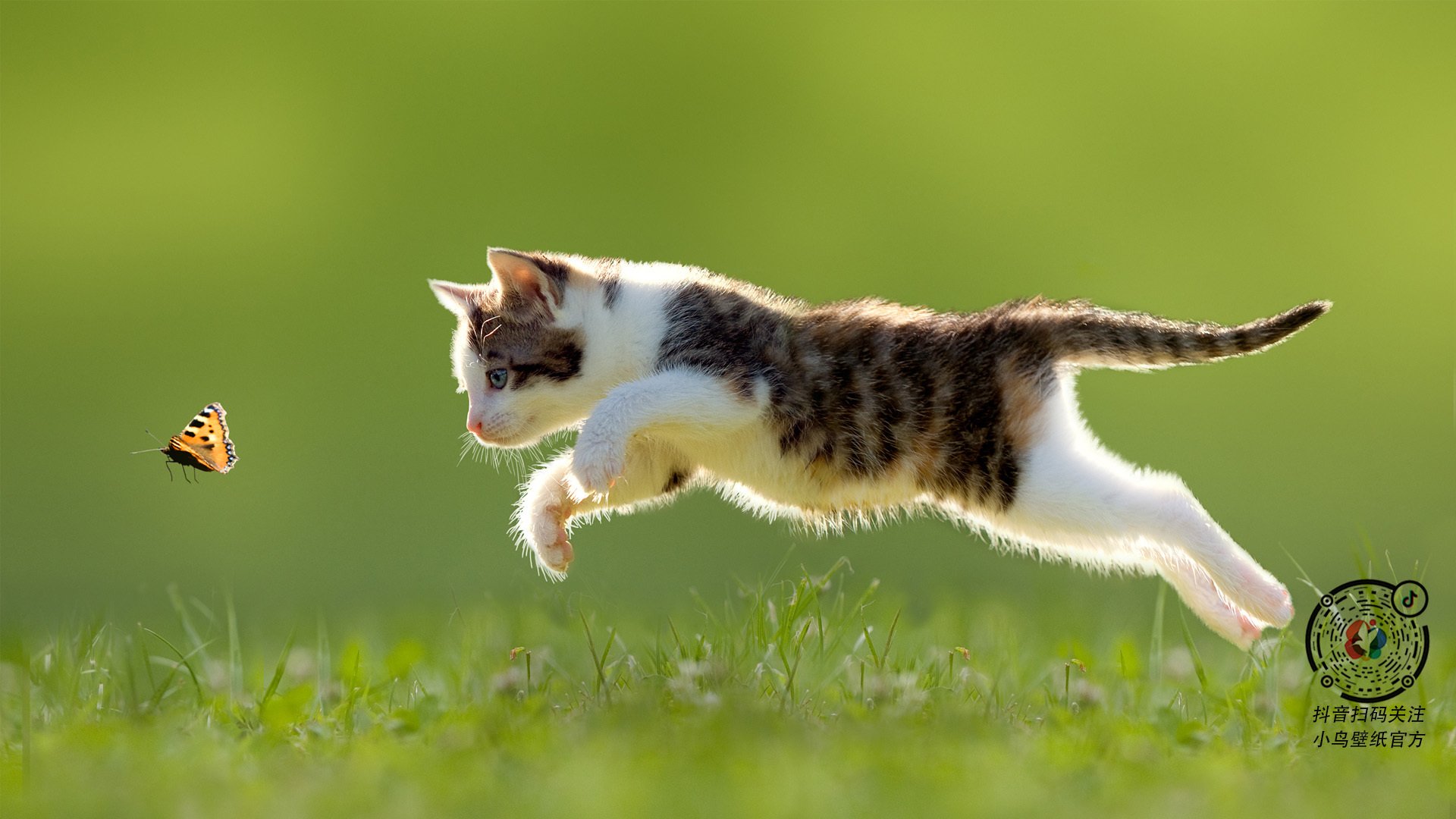 篮球运动员专项体能训练负荷精准监控技术研究,篮球运动员运动负荷量度