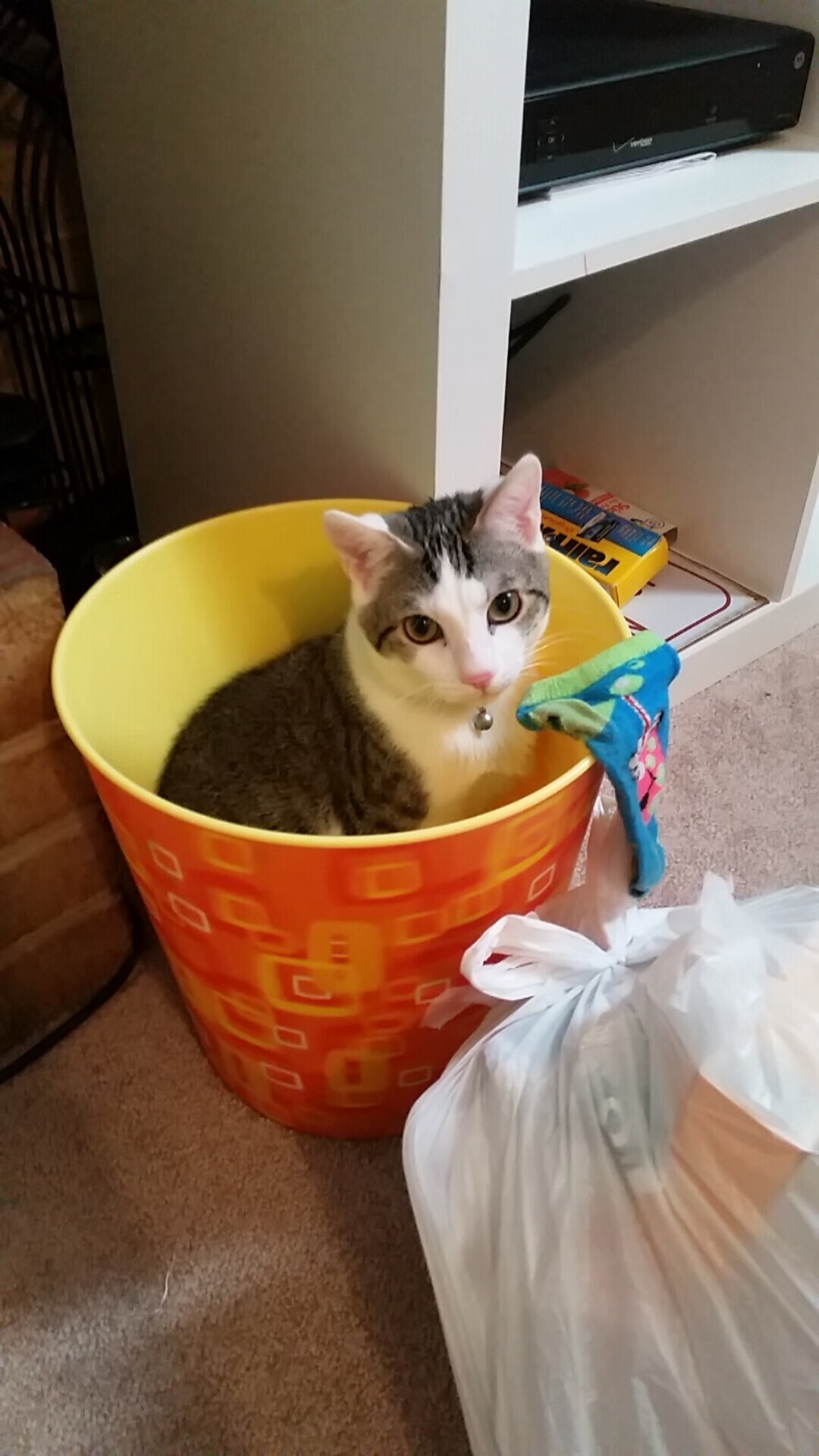 青少年运动损伤预防技术及实践研究,青少年运动损伤预防技术及实践研究论文