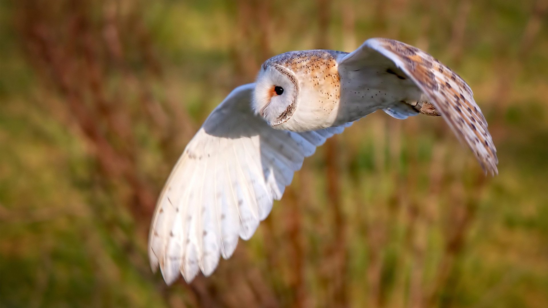 九游网页版官网-CBA联盟强化青训基地建设布局全国重点城市，cba青训队是什么