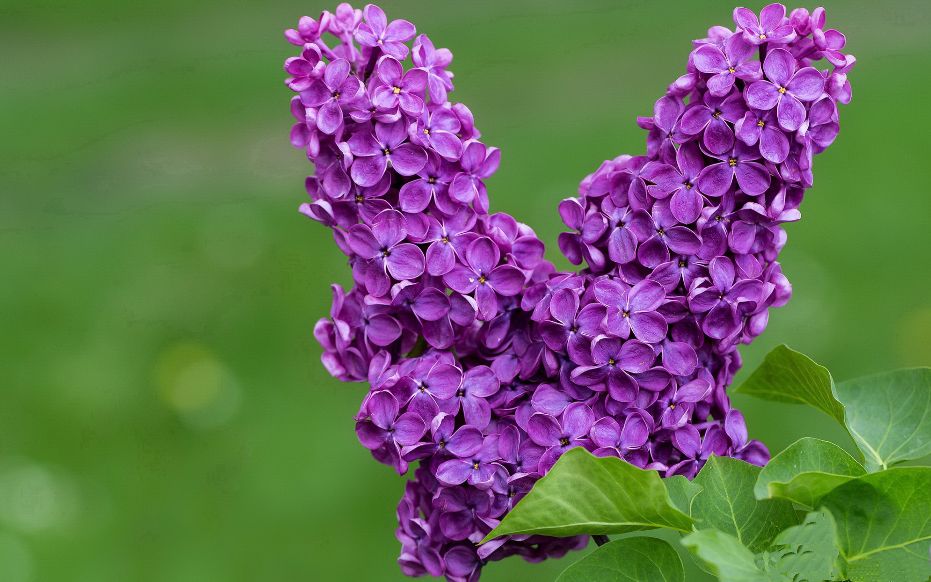 中国三人篮球男队技术训练成效显著，三人篮球 中国男篮