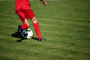 JIUYOU.COM-冬奥场馆智能系统协助运动员热身训练，冬奥会设备