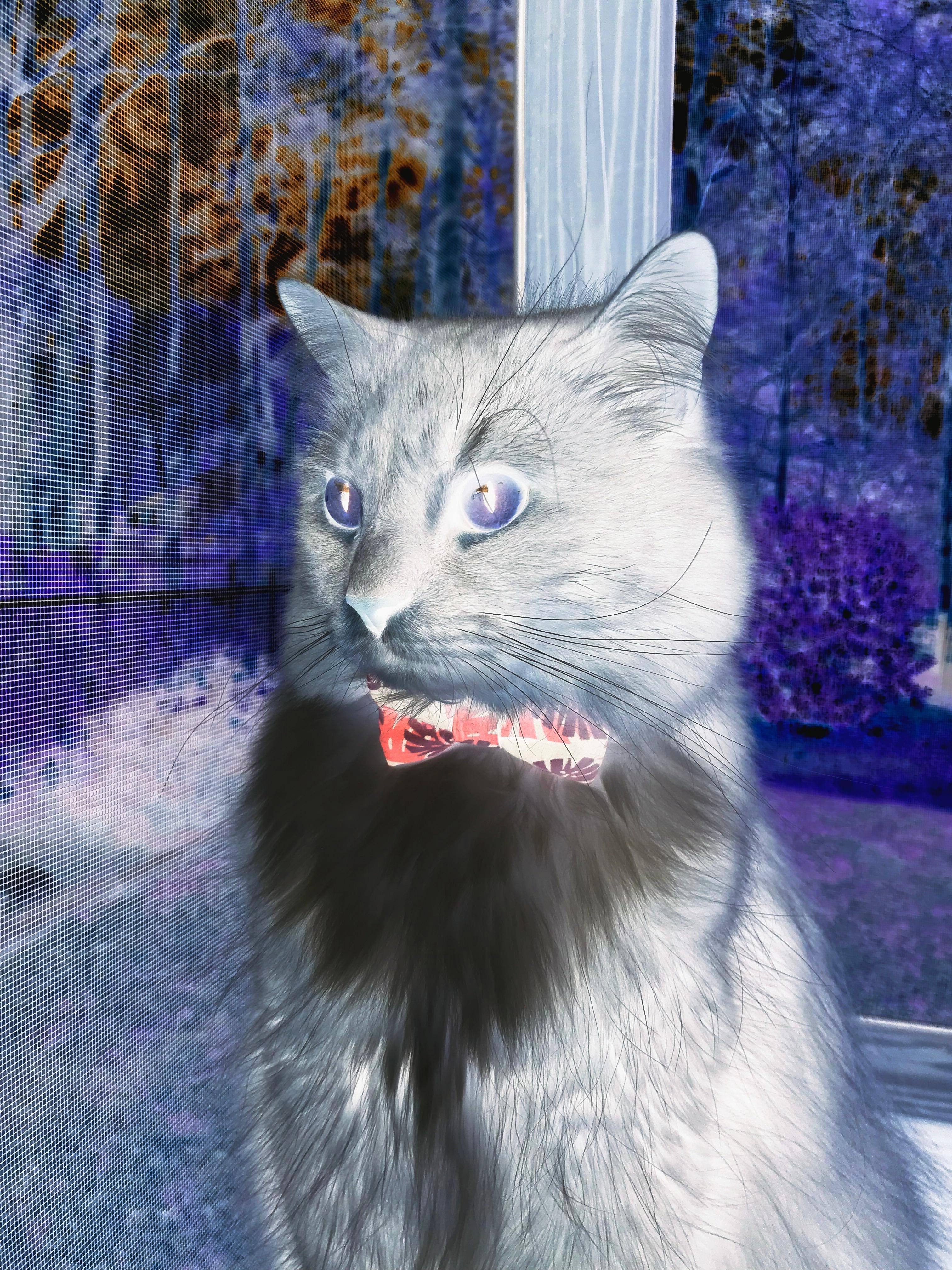 控球阵型与防守阵型快速切换，控球战术阵型