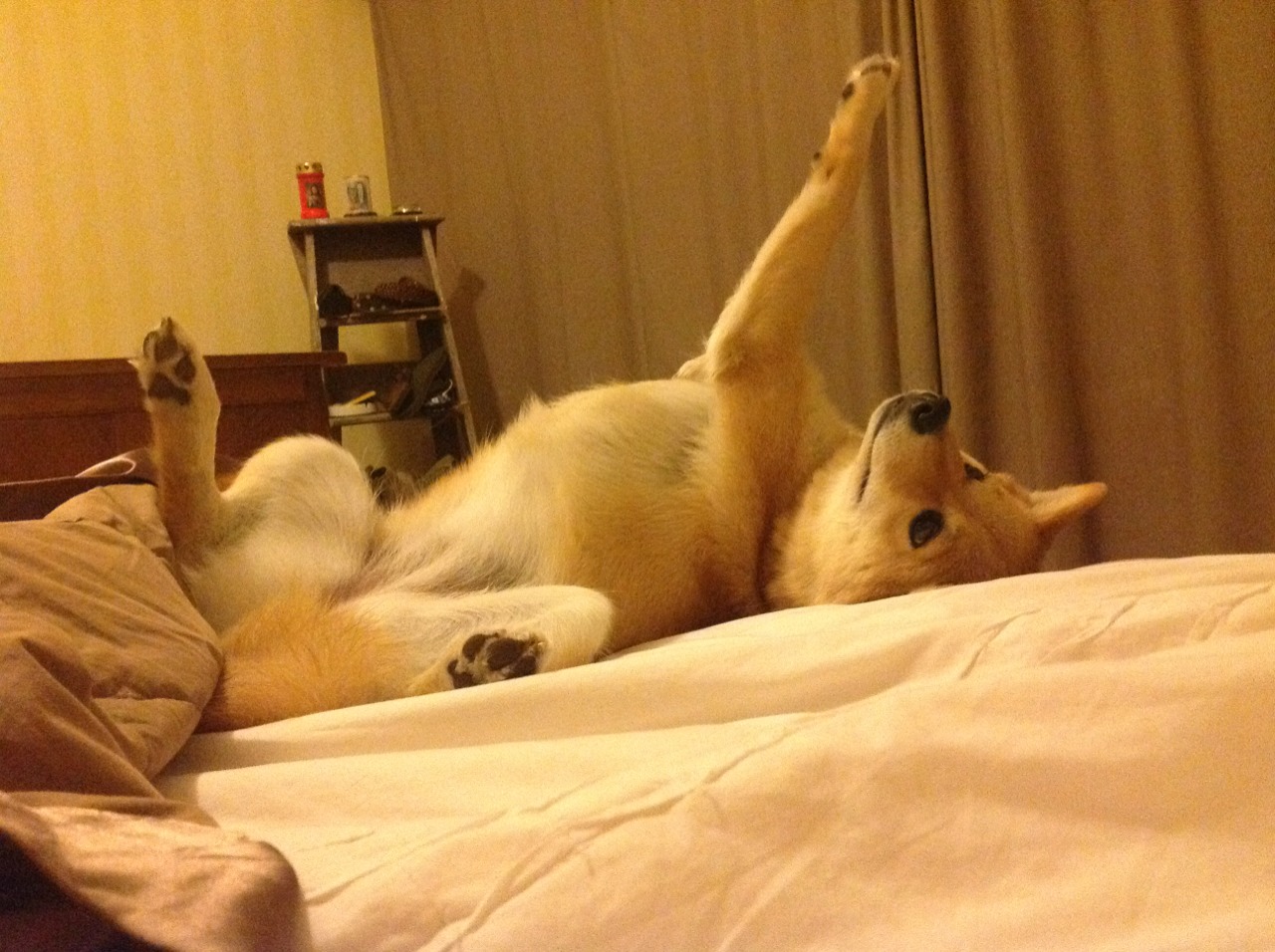 中国足球青少年足球赛事覆盖面不断扩大,中国青少年足球发展现状